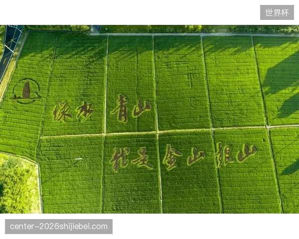 国家电投绿色碳证衔接，黑龙江滑雪场群落完成清洁能源并轨。